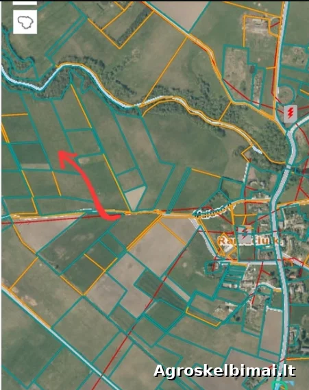 Parduodamas žemės ūkio paskirties sklypas