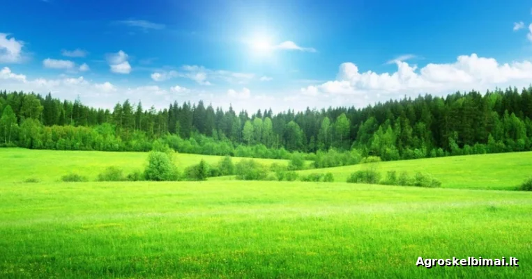 Perkami žemės ūkio paskirties sklypai