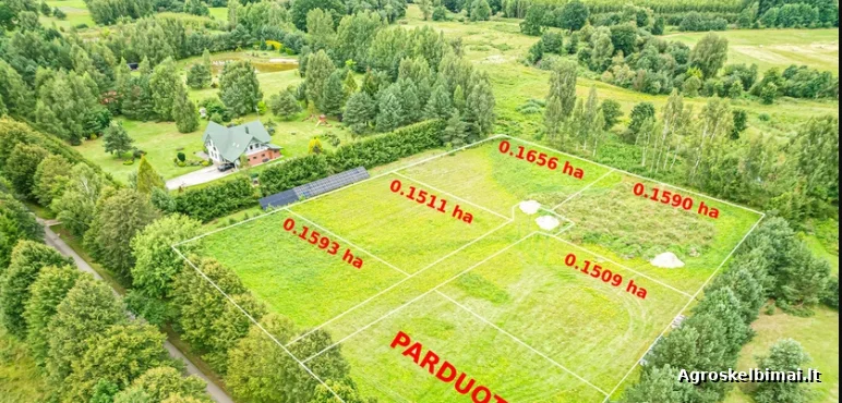 PARDUODAMI NAMŲ VALDOS ŽEMĖS SKLYPAI ŠILUTĖS RAJ.