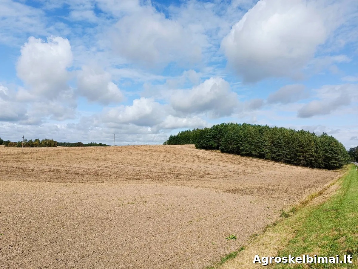 Žemės ūkio sklypai su sodyba