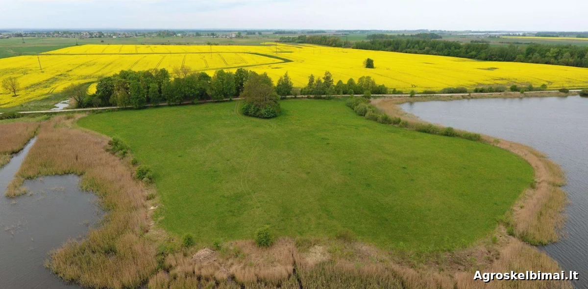 Parduodama 2,45 ha sklypas su ežero pakrante