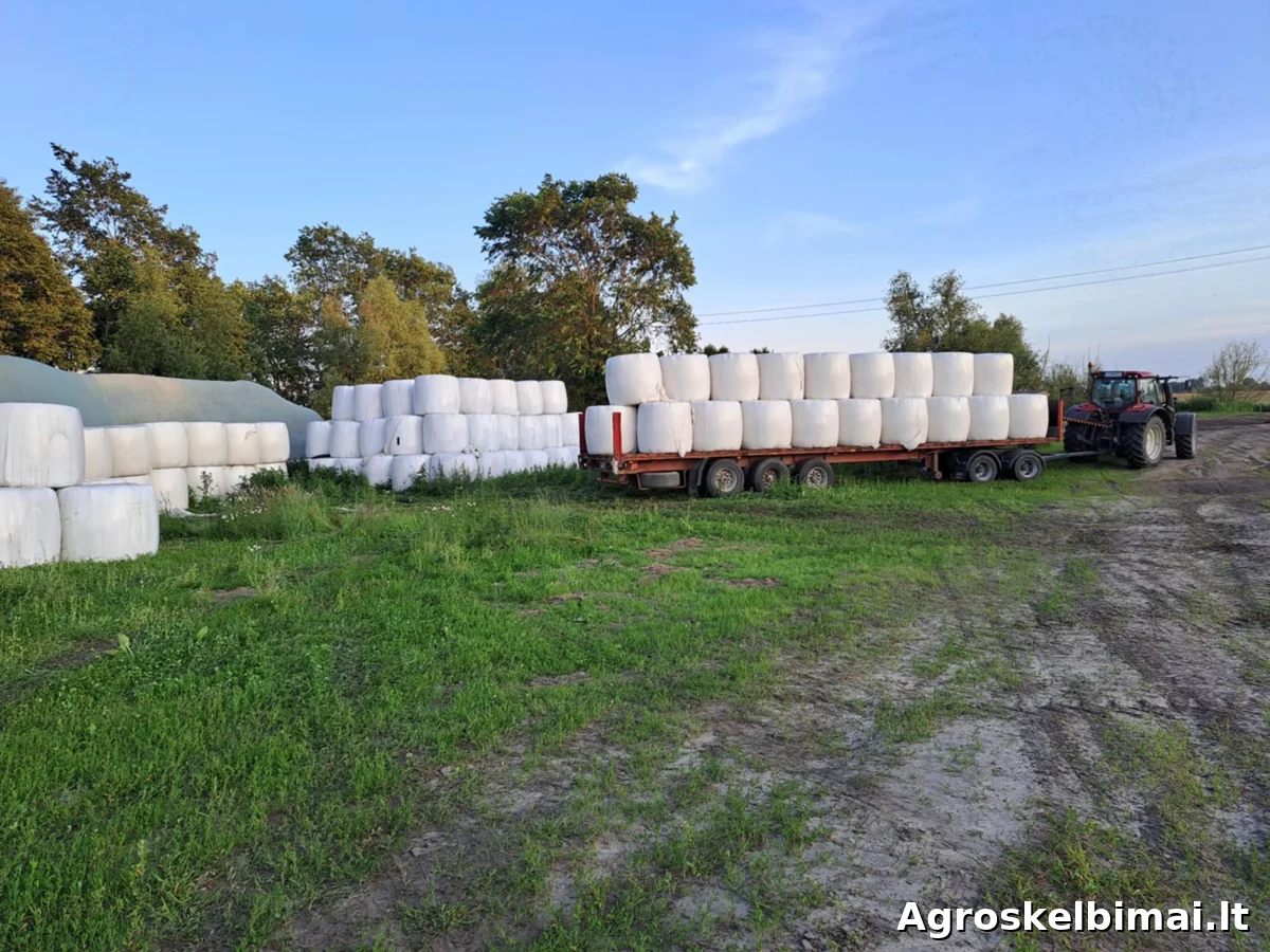 Žinių, avižų ir vikių mišinys rulonuose. 